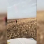 Почти трое суток искали пропавшего пастуха в Костанайской области